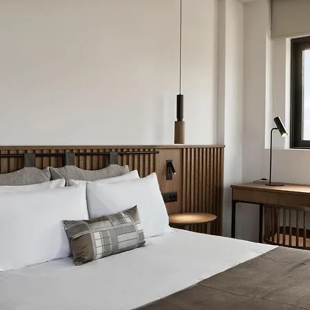 The Olivar 5* Mesongí