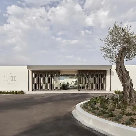 The Olivar Hotell Mesongí