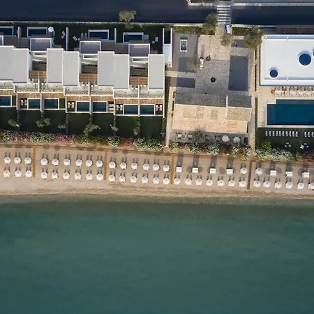 Hotell The Olivar 5*