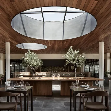 The Olivar 5*