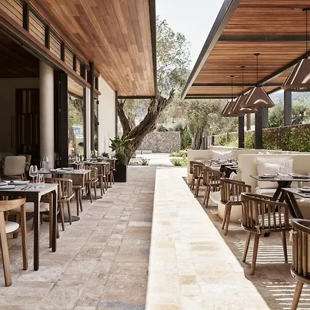 The Olivar 5* Mesongi