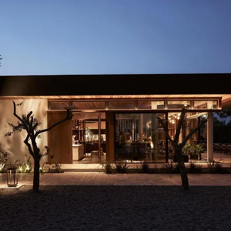 The Olivar 5*