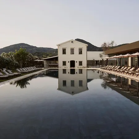 Hotell The Olivar Mesongí